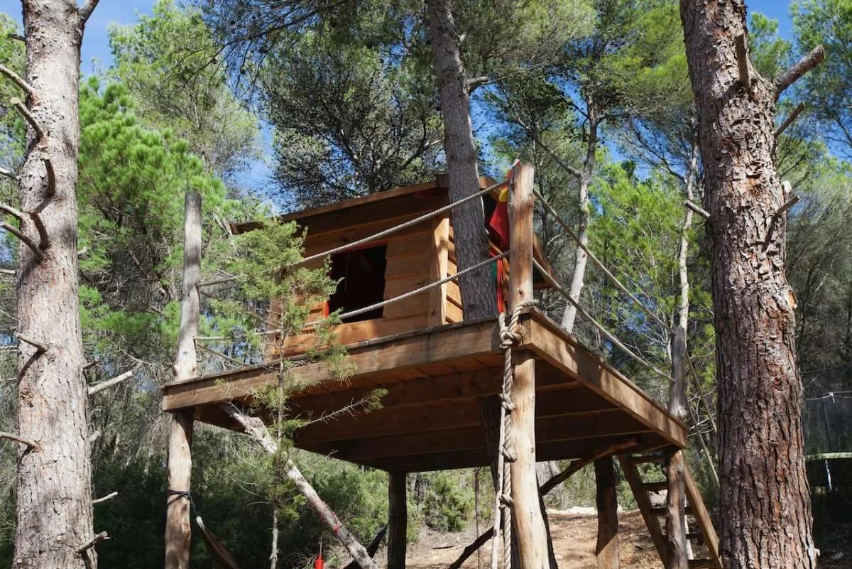 Treehouse tales