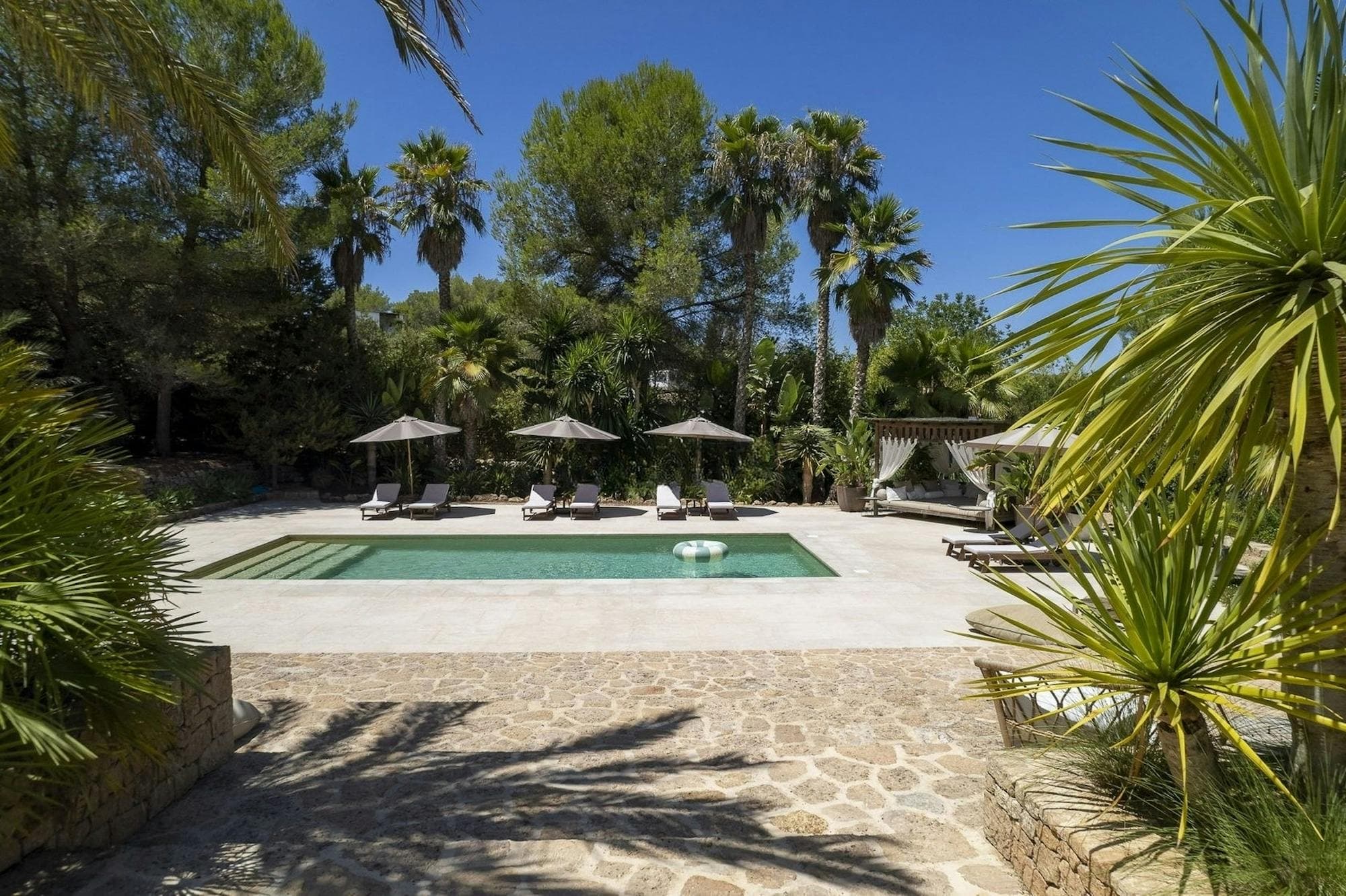 Pool & pines