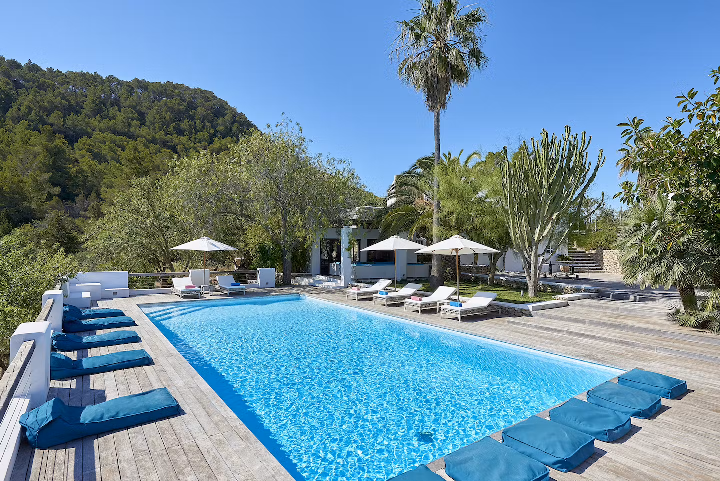 Finca Lavanda
